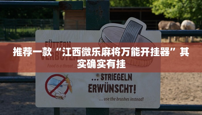 辅助神器“中至鄱阳麻将开挂神器下载”详细开挂教程