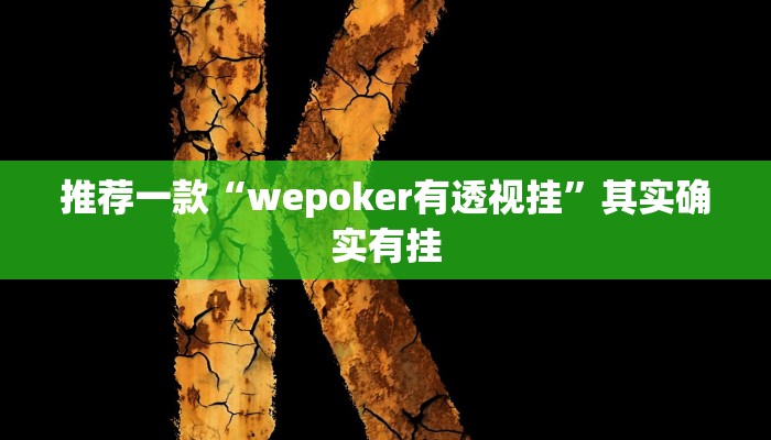 实测辅助”长虹大厅透视辅助”详细开挂教程