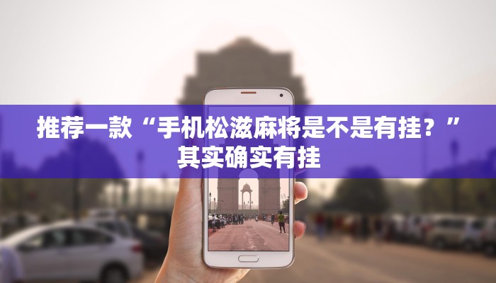 实测辅助”白金岛长沙麻将怎么开挂”其实确实有挂