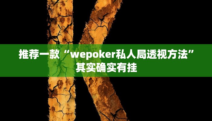 实测教程”新九神开挂查询”(原来确实是有挂)