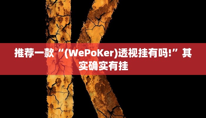 实测教程”wepoker辅助器”(原来确实是有挂)