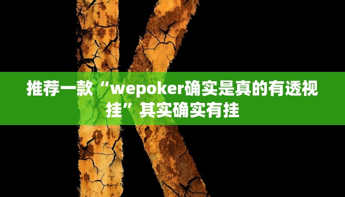 实测教程”wepoker德州透视挂ios版”(原来确实是有挂)