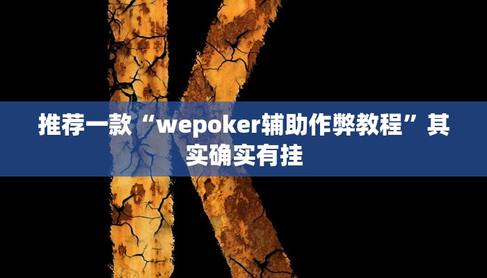 实测教程”多乐跑得快透视软件挂方法”(原来确实是有挂)