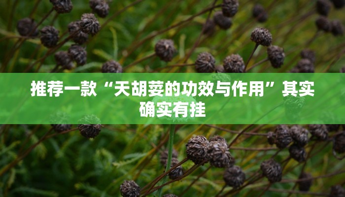 开挂辅助工具“威信茶馆跑得快怎么开挂”详细开挂教程
