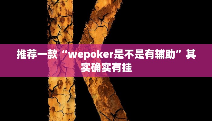 实测教程”wepoker德州辅助软件作弊”(原来确实是有挂)