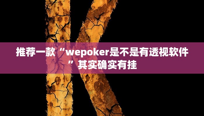 开挂辅助工具“博乐龙江填大坑免费透视软件下载”详细开挂教程