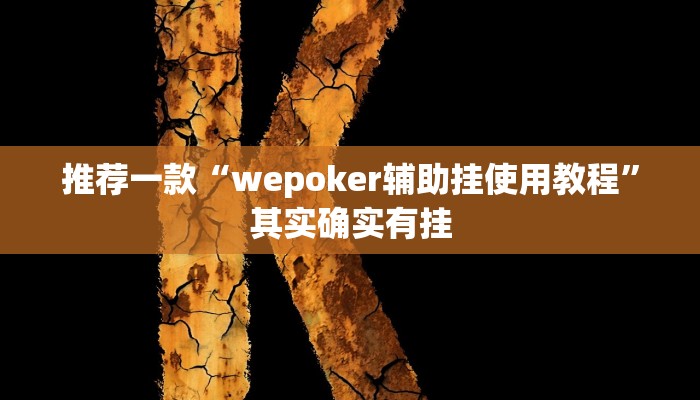 实测教程”贵州麻将开挂神器”(原来确实是有挂)