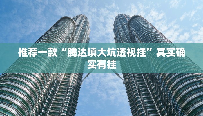 实测教程”(wepoker)透视挂真的假的”(原来确实是有挂)