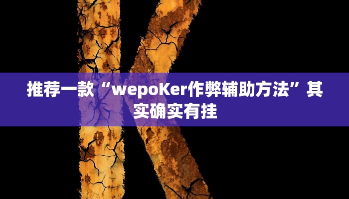实测教程”wepoker辅助挂透视”(原来确实是有挂)