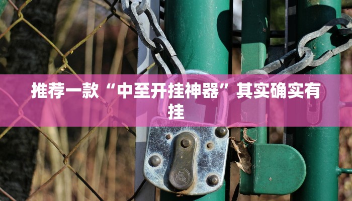 实测教程”werplan德州能开挂透视”(原来确实是有挂)