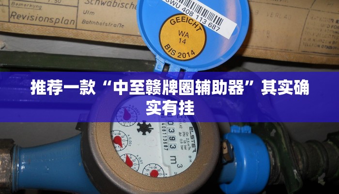 实测教程”WePoker私人局开挂教程”(原来确实是有挂)