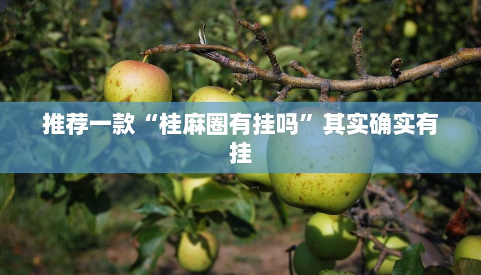 辅助神器“微乐陕西挖坑开挂神器”其实确实有挂