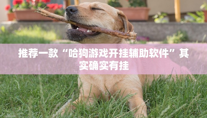 实测教程”百利科技怎么开挂”(原来确实是有挂)