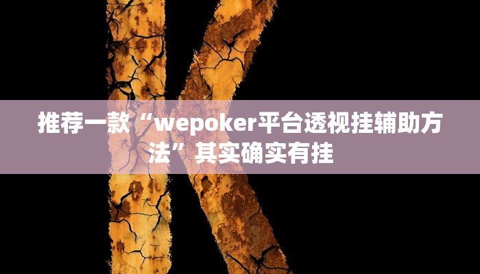 开挂辅助工具“忆游十三道如何开挂”其实确实有挂