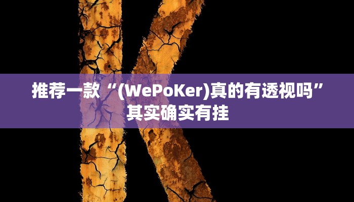 辅助神器“新漫游牛牛透视软件”详细开挂教程