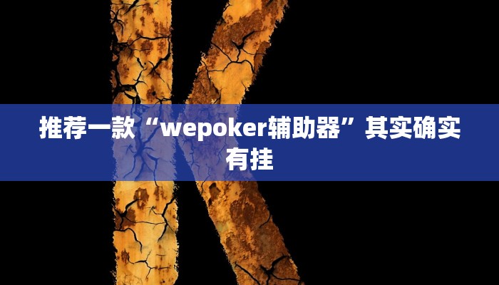 开挂辅助工具“微乐二七王开挂神器下载安装”其实确实有挂