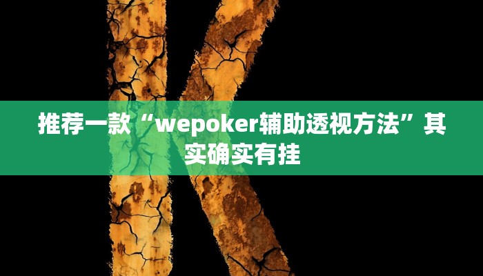 辅助神器“微乐福建麻将怎么开挂”详细开挂教程