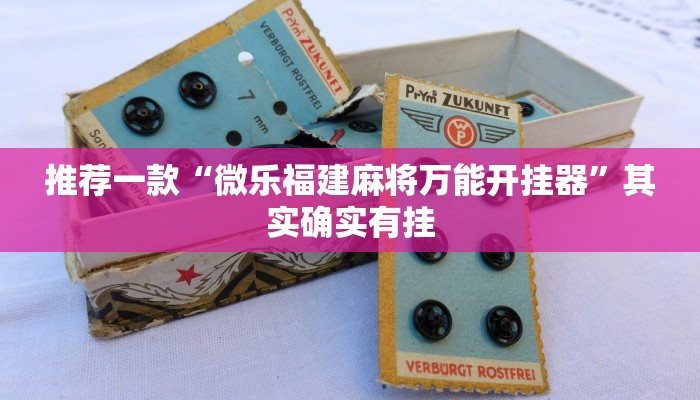 实测教程”海洋十三水开挂辅助器”(原来确实是有挂)