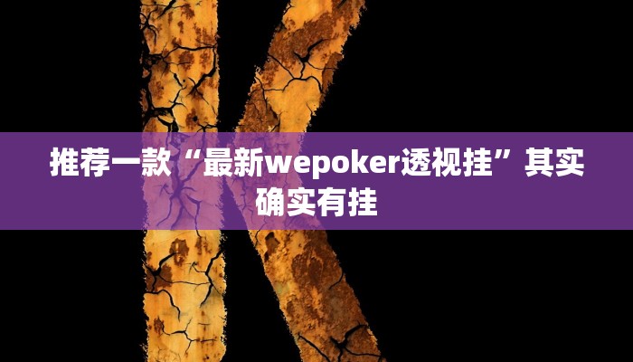 开挂辅助工具“微乐陕西挖坑开挂神器”详细开挂教程