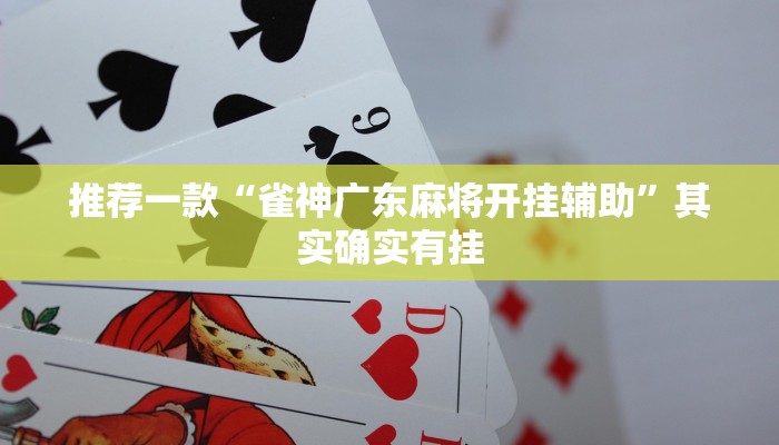 实测教程”神盾大厅可以开挂吗”(原来确实是有挂)