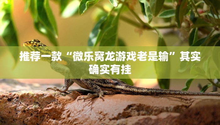 辅助神器“玖天乐游辅助透视”其实确实有挂