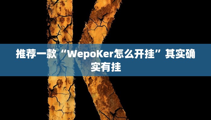 实测教程”老友地方麻将辅助作弊开挂”(原来确实是有挂)