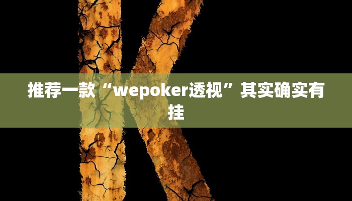 实测教程”poker now透视挂辅助方法”(原来确实是有挂)