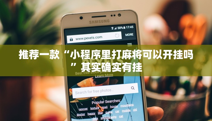 实测教程”皮皮跑胡子怎么安装开挂软件”(原来确实是有挂)