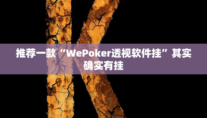实测辅助”新九哥大厅透视辅助最新”详细开挂教程