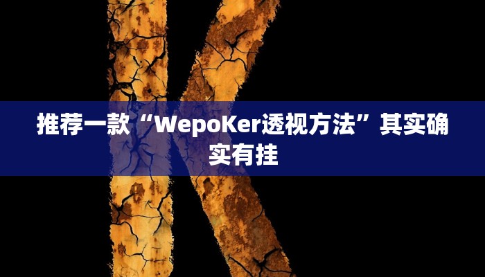 实测教程”友友联盟开挂透视”(原来确实是有挂)