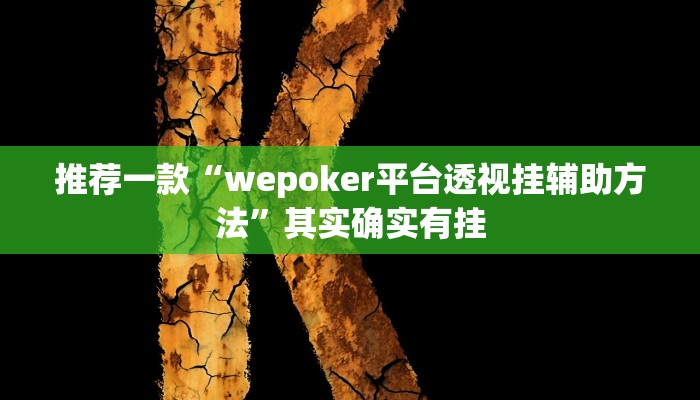 辅助神器“福建十三水万能辅助器”其实确实有挂