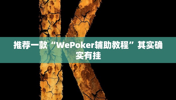 实测教程”impoker透视挂”(原来确实是有挂)