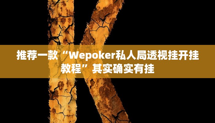 辅助神器“边锋老友二打一到底有没有挂”详细开挂教程