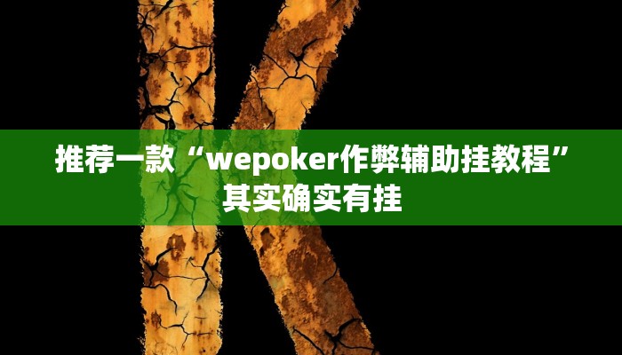 开挂辅助工具“忆游十三道真的确实有挂”详细开挂教程