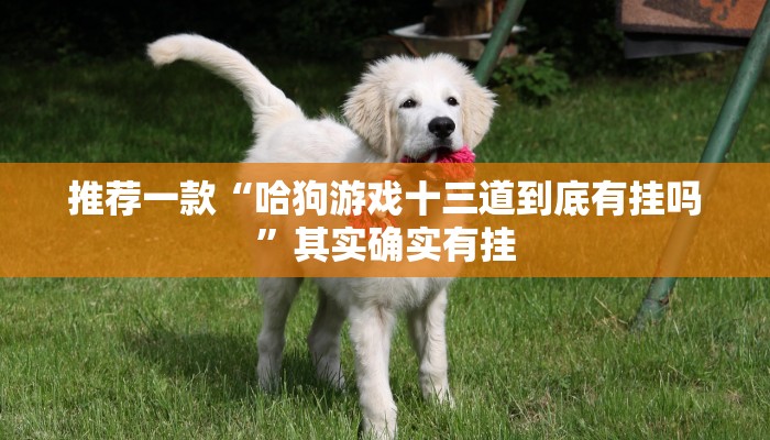 实测辅助”微乐山东麻将开挂版本软件”其实确实有挂