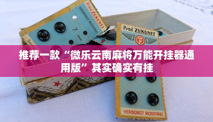 实测教程”中至窝龙开挂的软件”(原来确实是有挂)