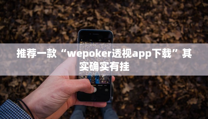 实测辅助”闲逸斗地主透视软件”详细开挂教程