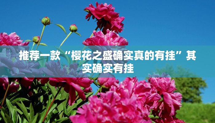 实测教程”微乐广西麻将怎样辅助开挂”(原来确实是有挂)