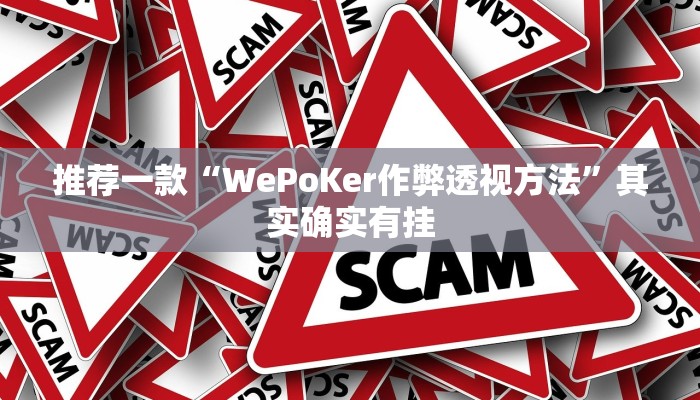 实测教程”WepoKer究竟透视挂真的假的”(原来确实是有挂)