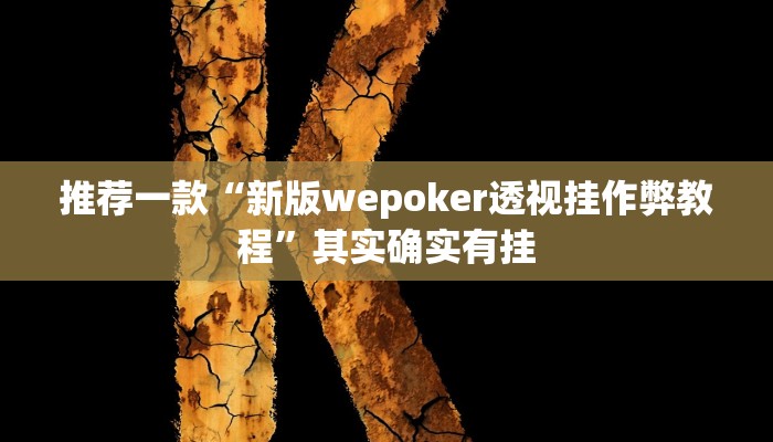 实测教程”皮皮广东麻将外卦神器”(原来确实是有挂)