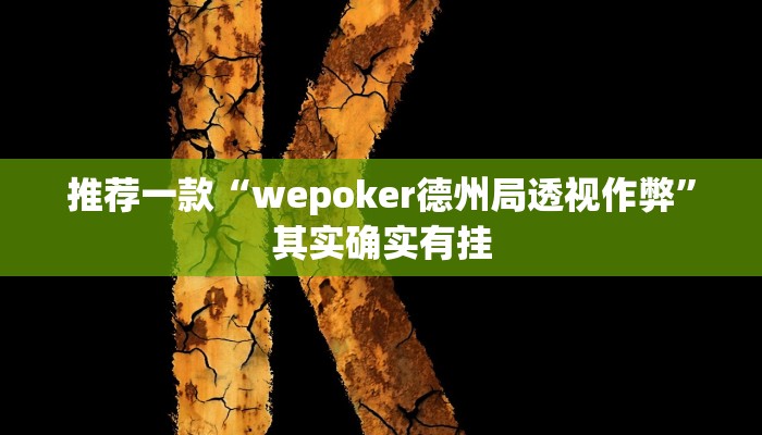 实测教程”hhpoker透视挂辅助”(原来确实是有挂)