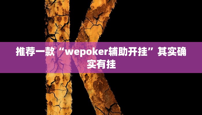 开挂辅助工具“传送屋激k怎么开挂”详细开挂教程