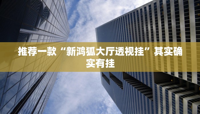 实测教程”德扑之星辅助器使用方法”(原来确实是有挂)