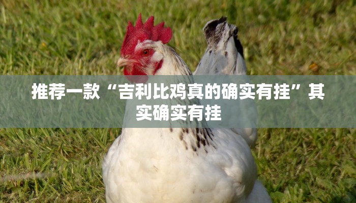 开挂辅助工具“精品乐清麻将有挂吗可以开挂吗”详细开挂教程