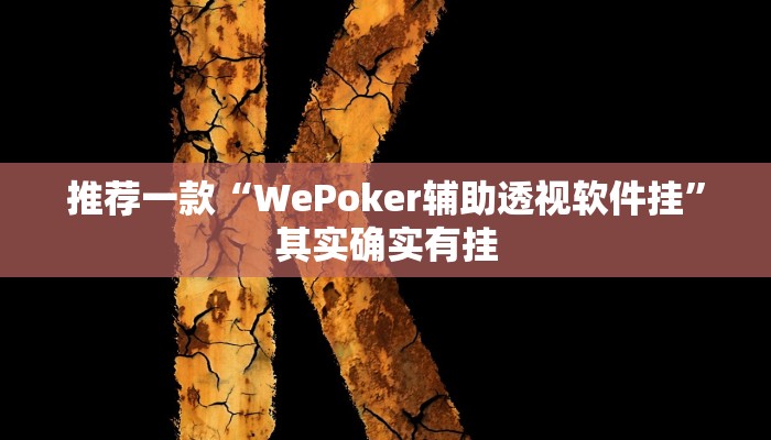 实测教程”德扑之星辅助作弊”(原来确实是有挂)