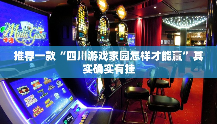 辅助神器“皇后大厅透视”详细开挂教程