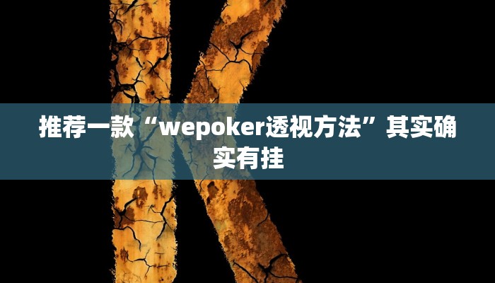 实测辅助”鄱阳翻精开挂辅助软件”其实确实有挂