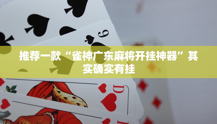实测辅助”经典联盟辅助器”其实确实有挂