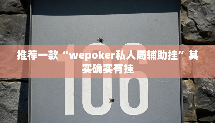 实测教程”AApoker可以作弊”(原来确实是有挂)
