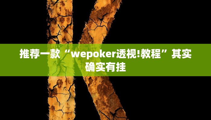 实测教程”陕麻圈辅助器开挂”(原来确实是有挂)
